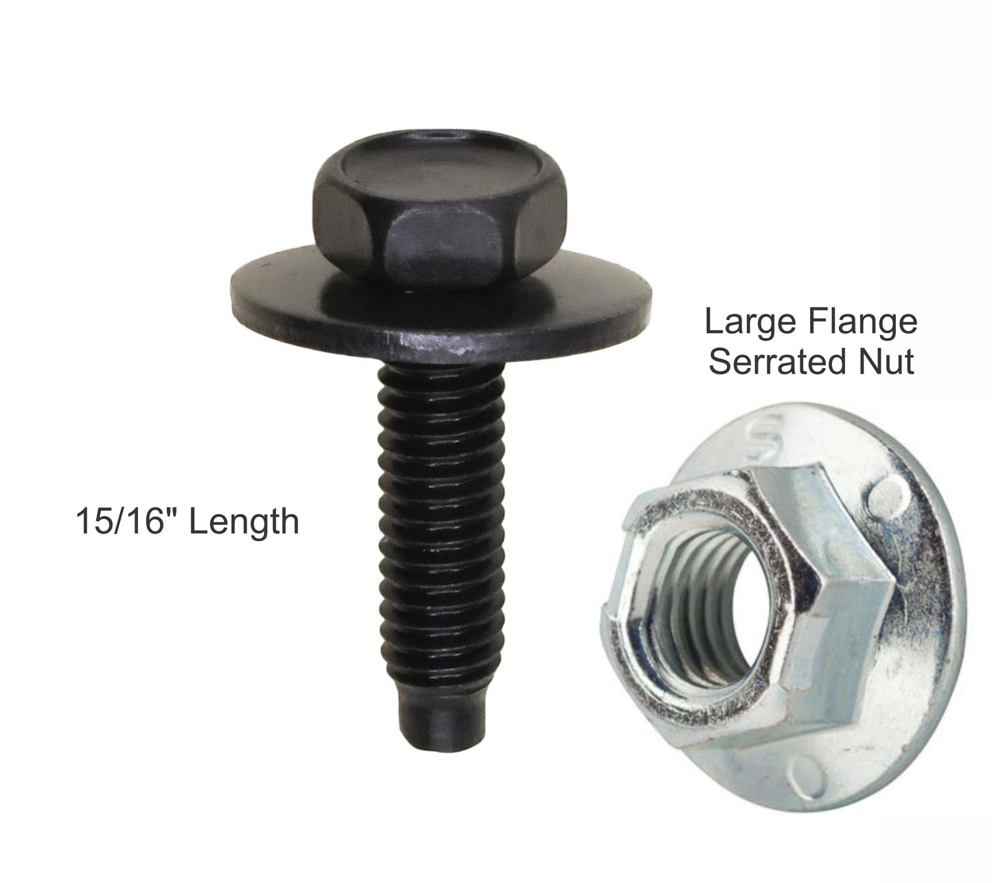 Body Bolt Kit w/ nut
